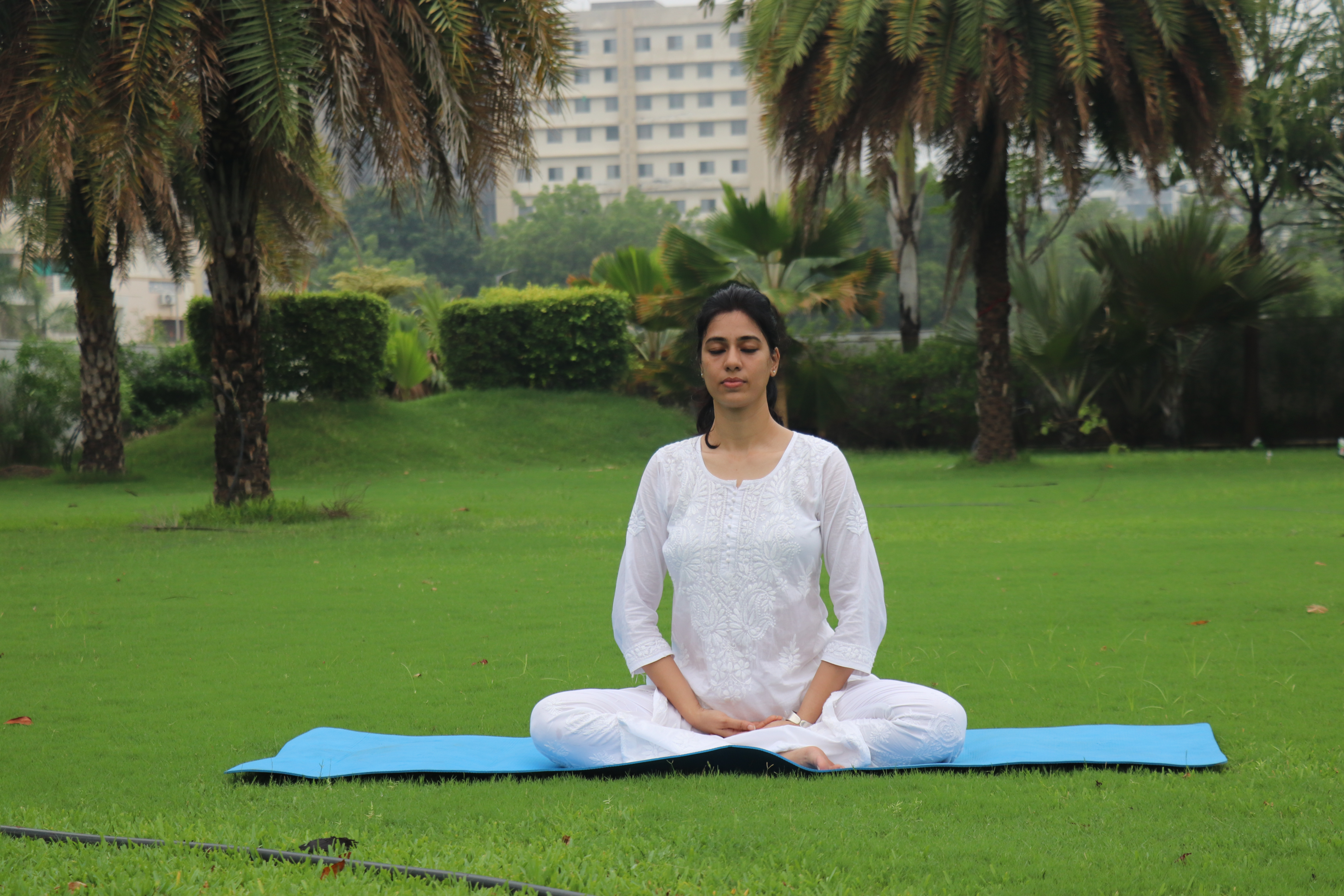 Meditation
