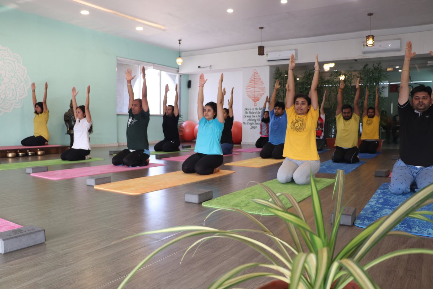 Studio yoga class with students practicing together